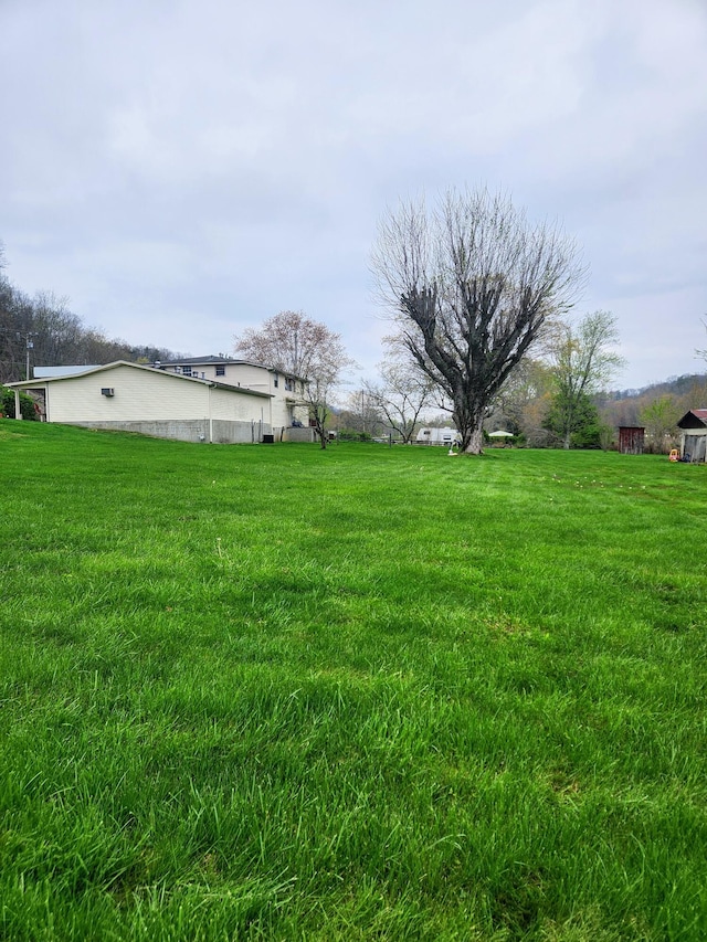 view of yard