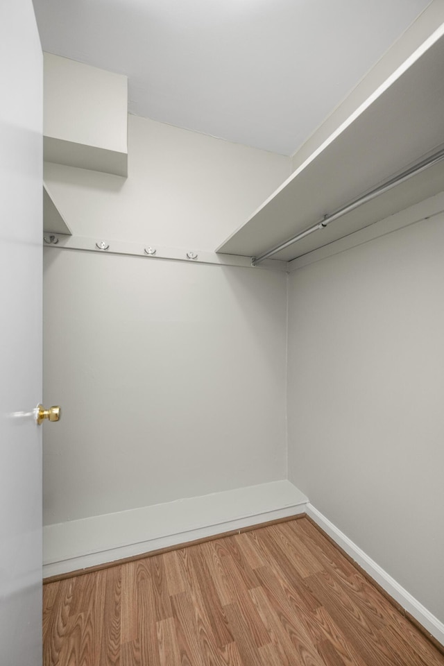 walk in closet with wood finished floors