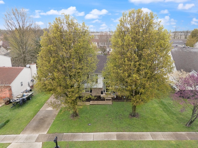 drone / aerial view