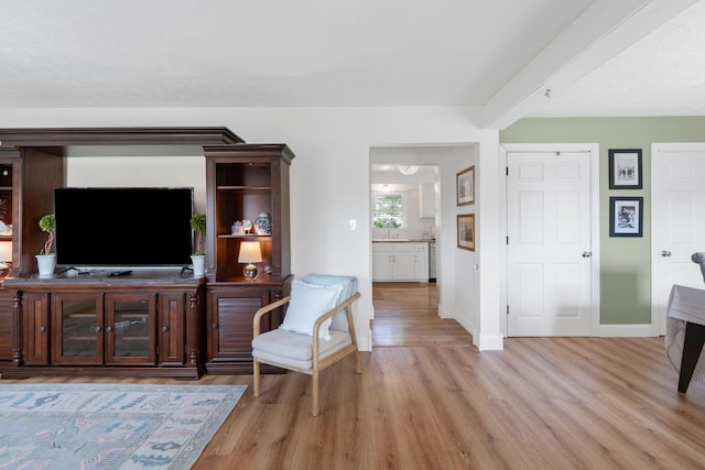 124 Clays Ferry Dr, Richmond, KY 40475 - living room featuring light wood-style flooring and baseboards