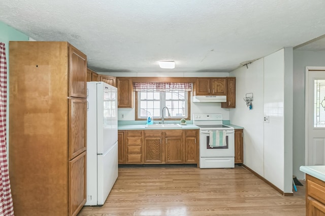 kitchen with light wood-style floors, under cabinet range hood, a sink, and white appliances