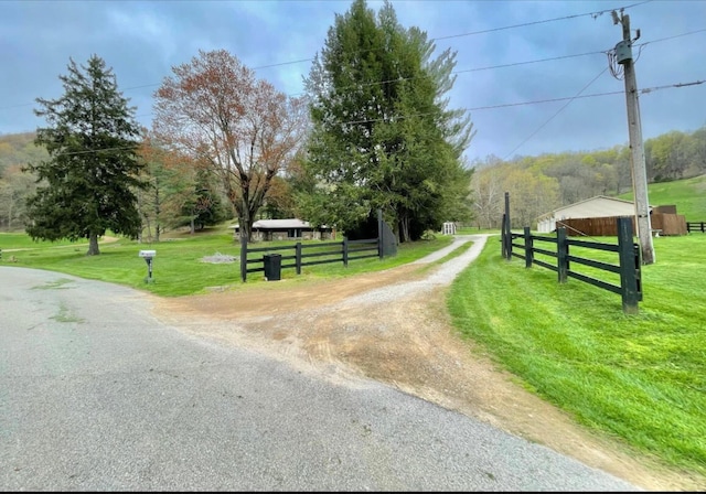 1459 Buck Lick Rd, Tollesboro, KY 41189 - view of dirt / gravel driveway