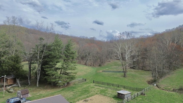 1459 Buck Lick Rd, Tollesboro, KY 41189 - view of yard with a forest view