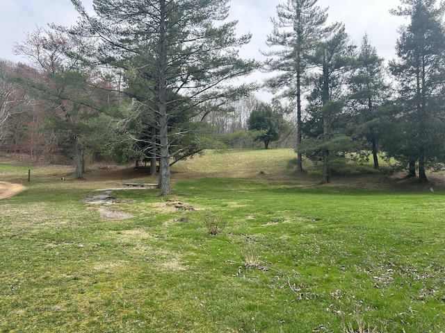 1459 Buck Lick Rd, Tollesboro, KY 41189 - view of green lawn