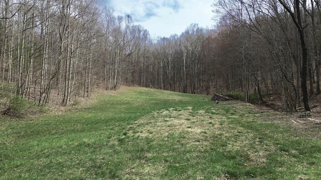 1459 Buck Lick Rd, Tollesboro, KY 41189 - view of wooded area