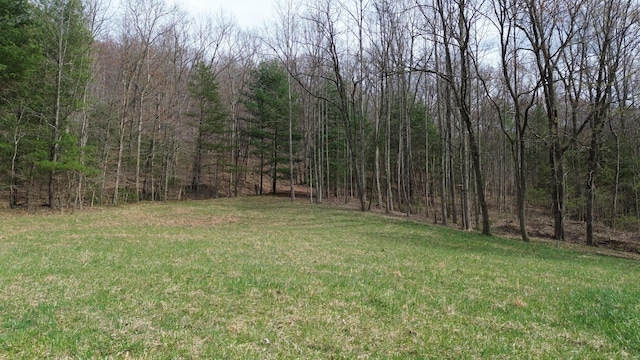 1459 Buck Lick Rd, Tollesboro, KY 41189 - view of grassy yard with a view of trees