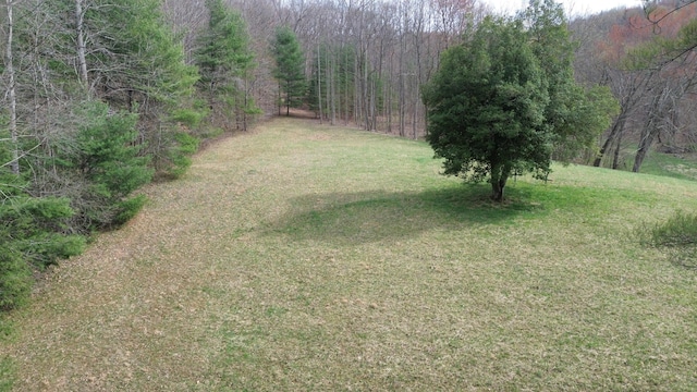 1459 Buck Lick Rd, Tollesboro, KY 41189 - view of green lawn featuring a view of trees