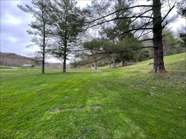 1459 Buck Lick Rd, Tollesboro, KY 41189 - view of grassy yard