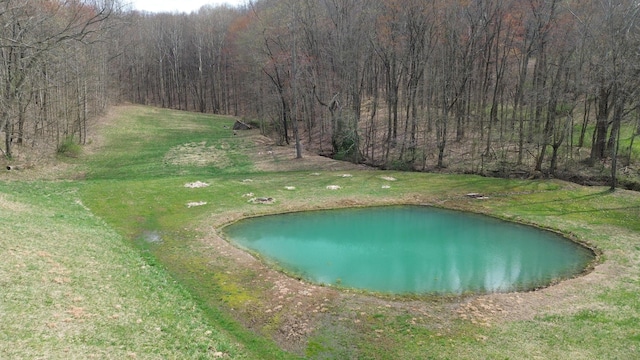 1459 Buck Lick Rd, Tollesboro, KY 41189 - view of property's community featuring a forest view and a water view