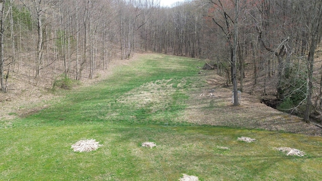 1459 Buck Lick Rd, Tollesboro, KY 41189 - view of yard with a wooded view