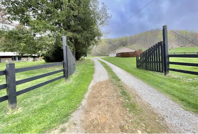 1459 Buck Lick Rd, Tollesboro, KY 41189 - view of dirt / gravel road