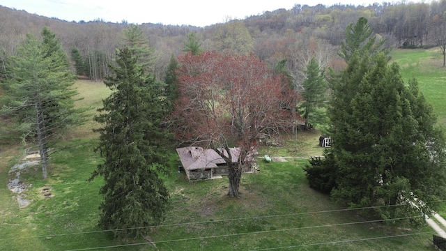 1459 Buck Lick Rd, Tollesboro, KY 41189 - drone / aerial view of a heavily wooded area