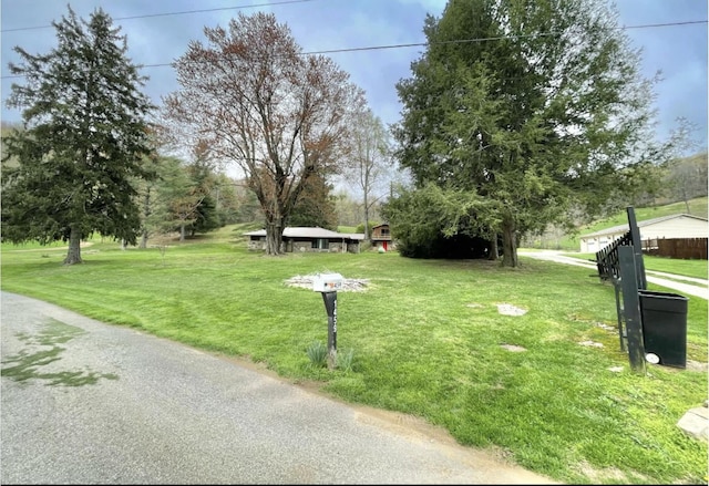 1459 Buck Lick Rd, Tollesboro, KY 41189 - view of home's community with a yard and view of scattered trees