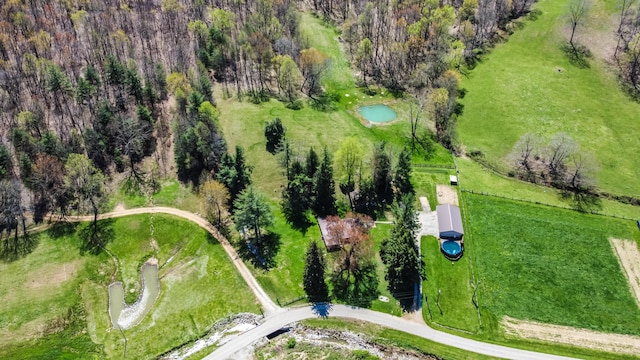 1459 Buck Lick Rd, Tollesboro, KY 41189 - bird's eye view