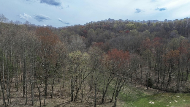 1459 Buck Lick Rd, Tollesboro, KY 41189 - view of tree filled area