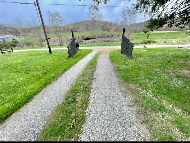 1459 Buck Lick Rd, Tollesboro, KY 41189 - view of dirt / gravel road