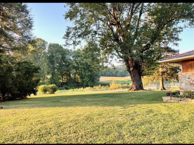 1459 Buck Lick Rd, Tollesboro, KY 41189 - view of green lawn