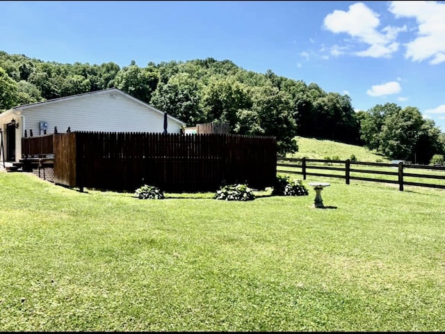 1459 Buck Lick Rd, Tollesboro, KY 41189 - view of yard