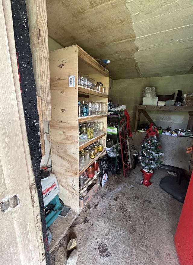 1459 Buck Lick Rd, Tollesboro, KY 41189 - view of storage room