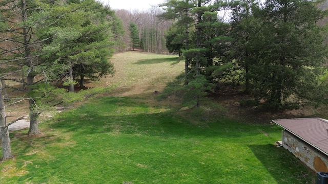 1459 Buck Lick Rd, Tollesboro, KY 41189 - view of yard