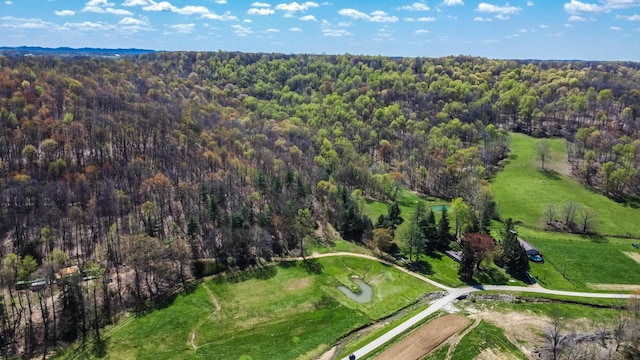 1459 Buck Lick Rd, Tollesboro, KY 41189 - aerial view of property and surrounding area with a heavily wooded area