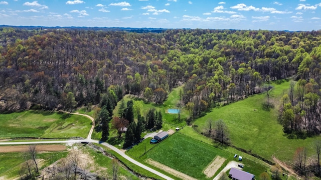 1459 Buck Lick Rd, Tollesboro, KY 41189 - aerial view of property's location with a heavily wooded area
