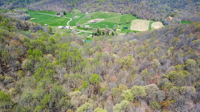 1459 Buck Lick Rd, Tollesboro, KY 41189 - view of property location with a heavily wooded area