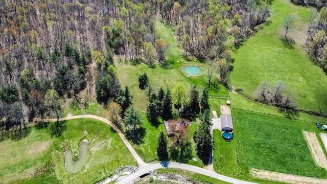 1459 Buck Lick Rd, Tollesboro, KY 41189 - bird's eye view