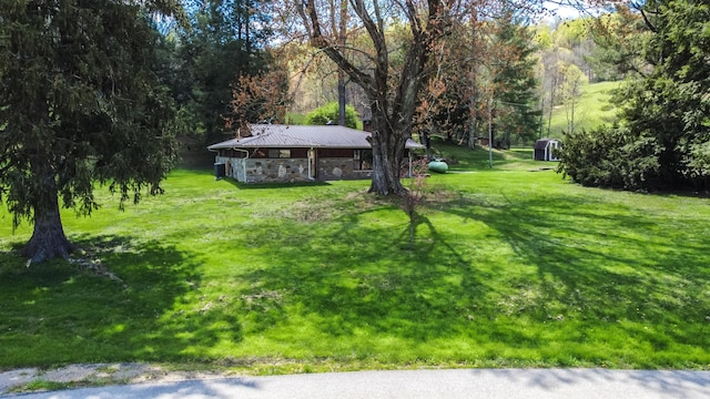 1459 Buck Lick Rd, Tollesboro, KY 41189 - view of grassy yard