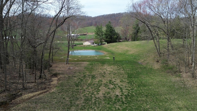 1459 Buck Lick Rd, Tollesboro, KY 41189 - view of green lawn featuring a water view