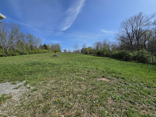 1778 Elkin Station Rd, Winchester, KY 40391 - view of yard featuring a rural view
