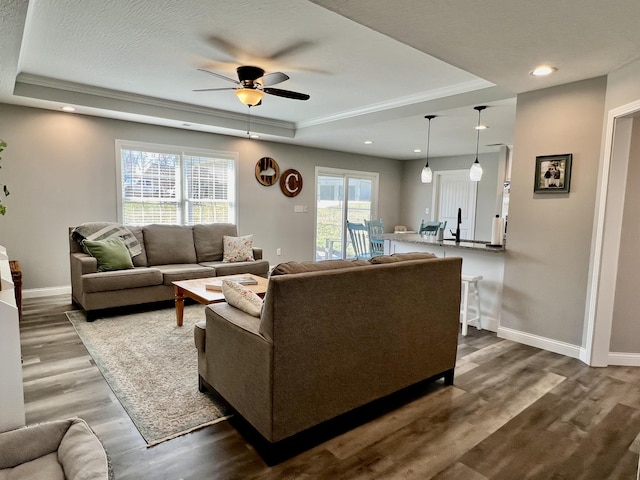 108 Allyson Cir, Junction City, KY 40440 - living area with baseboards, a raised ceiling, a ceiling fan, dark wood-style floors, and recessed lighting