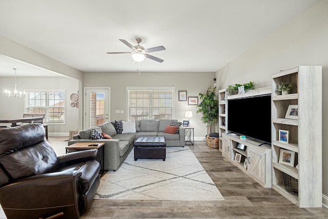 living room featuring a wealth of natural light, baseboards, wood finished floors, and ceiling fan with notable chandelier