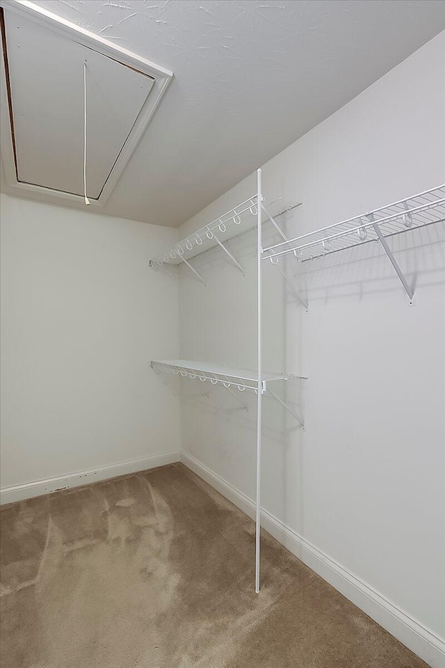 2045 Kearns Way, Richmond, KY 40475 - spacious closet with attic access and carpet floors