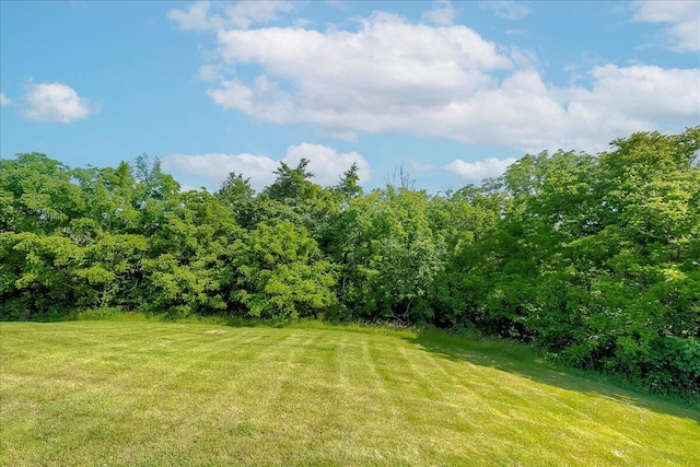 2045 Kearns Way, Richmond, KY 40475 - view of grassy yard with a wooded view