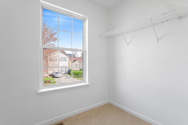 spacious closet with carpet floors