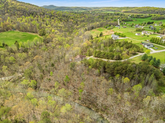 birds eye view of property featuring a forest view
