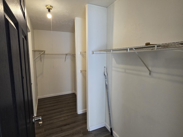 spacious closet with dark wood-style floors