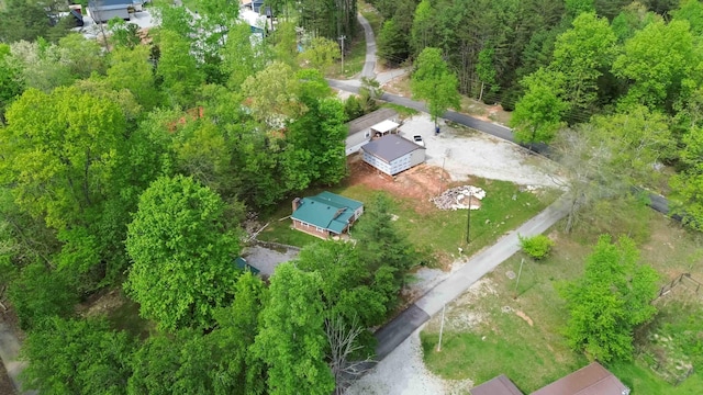 drone / aerial view
