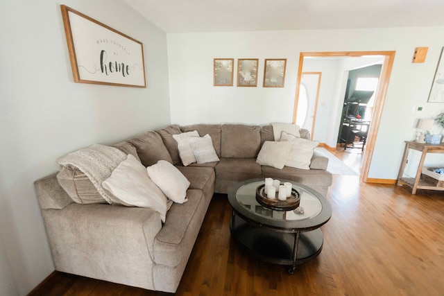 living room with wood finished floors