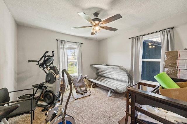 100 Lair St, Mount Vernon, KY 40456 - workout room with healthy amount of natural light, carpet, ceiling fan, and a textured ceiling