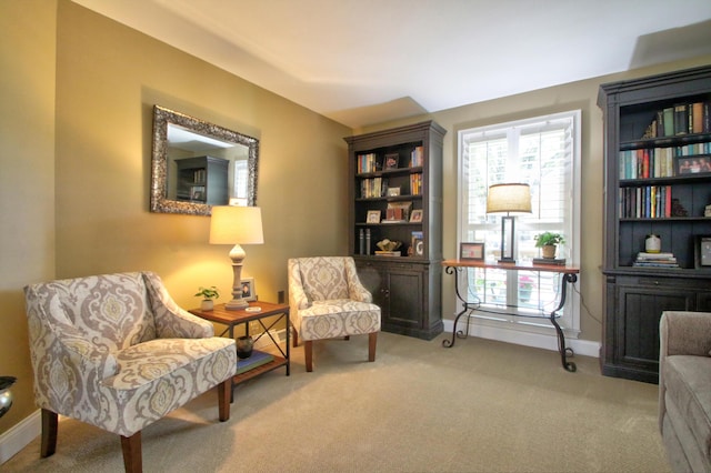sitting room with carpet floors and baseboards