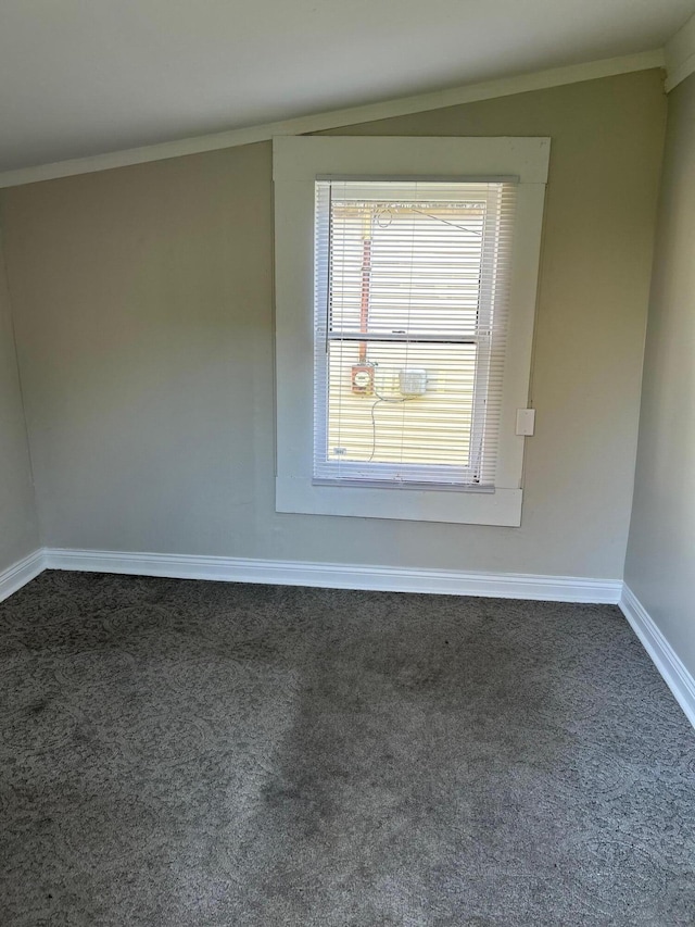 855 Horton Dr, Paris, KY 40361 - spare room featuring crown molding, baseboards, and dark colored carpet