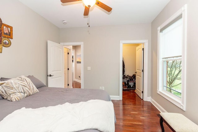 bedroom featuring a closet, baseboards, a spacious closet, a ceiling fan, and wood finished floors