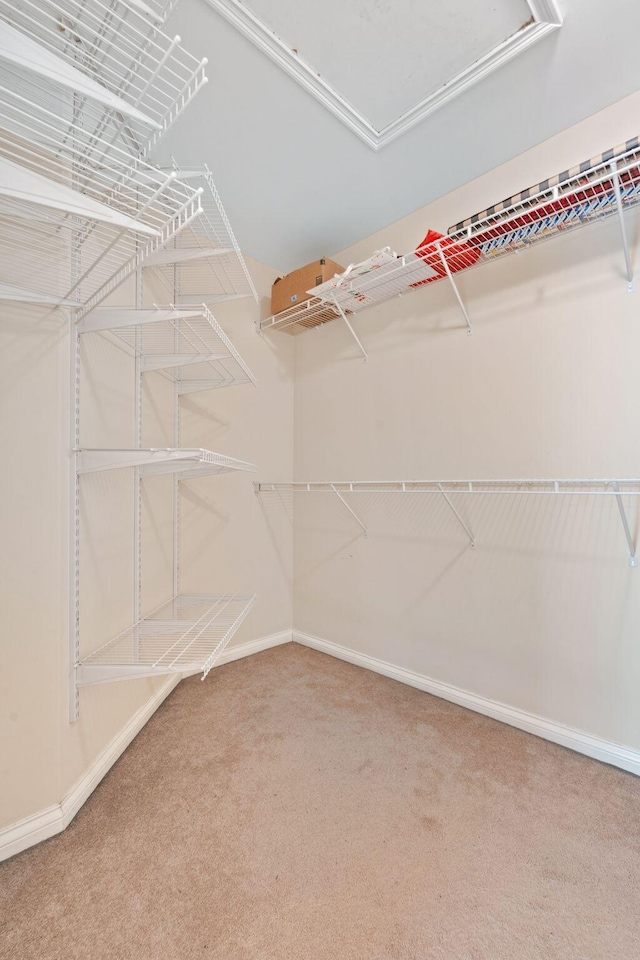 325 Long Branch Ln, Lexington, KY 40511 - spacious closet featuring carpet and attic access