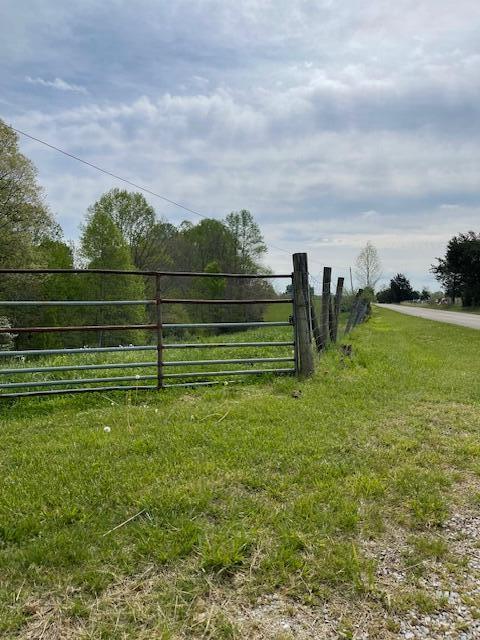 5280 Hickory Nut Rd, Nancy, KY 42544 - view of yard