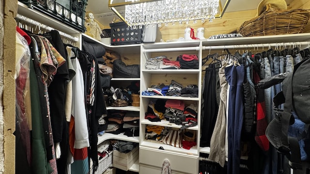 view of walk in closet