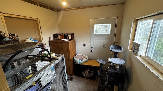 miscellaneous room featuring carpet