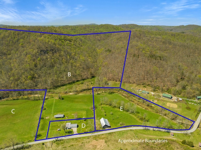 6473 Wildie Rd, Mount Vernon, KY 40456 - aerial view with a view of trees