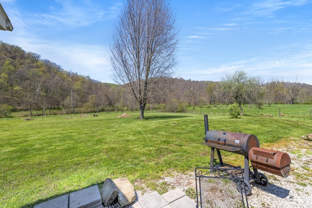 6473 Wildie Rd, Mount Vernon, KY 40456 - view of yard featuring a rural view and a forest view